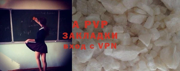 круглые Белокуриха