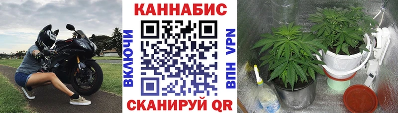 как найти закладки  Верхняя Тура  darknet состав  МАРИХУАНА ГИДРОПОН 